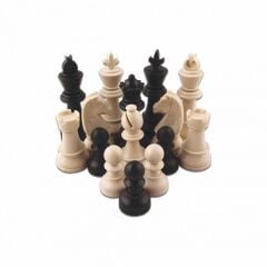 Star Okul Satranç Takımı Büyük