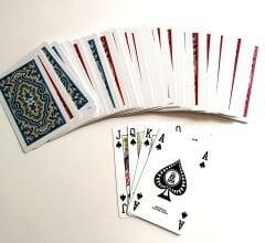 Swisscard Plastik Oyun Kartı 2 li Deste